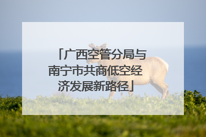 广西空管分局与南宁市共商低空经济发展新路径