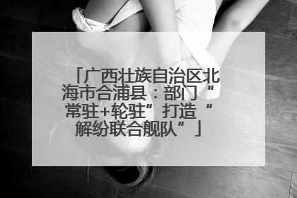 广西壮族自治区北海市合浦县：部门“常驻+轮驻”打造“解纷联合舰队”