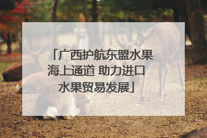 广西护航东盟水果海上通道 助力进口水果贸易发展