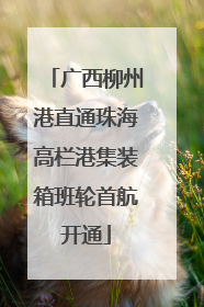 广西柳州港直通珠海高栏港集装箱班轮首航开通