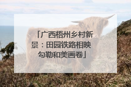 广西梧州乡村新景：田园铁路相映 勾勒和美画卷