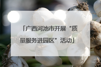 广西河池市开展“质量服务进园区”活动