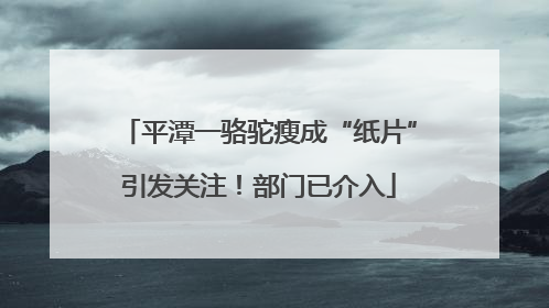 平潭一骆驼瘦成“纸片”引发关注！部门已介入