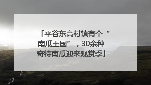 平谷东高村镇有个“南瓜王国”，30余种奇特南瓜迎来观赏季
