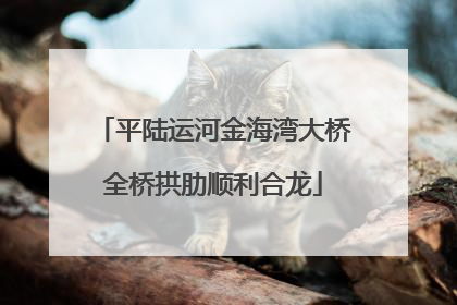 平陆运河金海湾大桥全桥拱肋顺利合龙