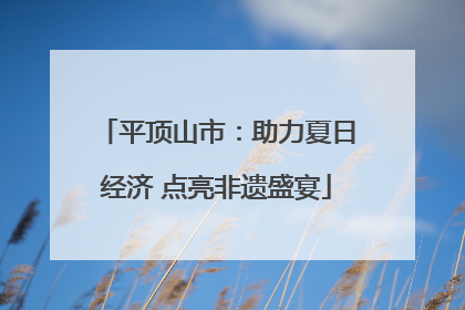 平顶山市：助力夏日经济 点亮非遗盛宴