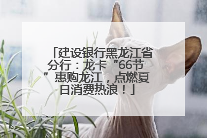 建设银行黑龙江省分行：龙卡“66节”惠购龙江，点燃夏日消费热浪！