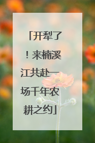 开犁了！来楠溪江共赴一场千年农耕之约