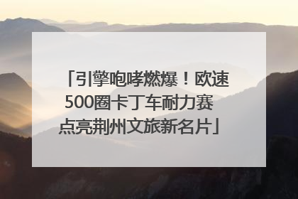 引擎咆哮燃爆！欧速500圈卡丁车耐力赛点亮荆州文旅新名片