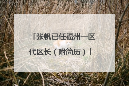 张帆已任福州一区代区长（附简历）