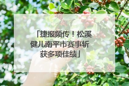 捷报频传！松溪健儿南平市赛事斩获多项佳绩