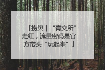 捞舆｜“青交所”走红，流量密码是官方带头“玩起来”