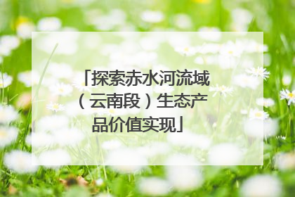 探索赤水河流域（云南段）生态产品价值实现