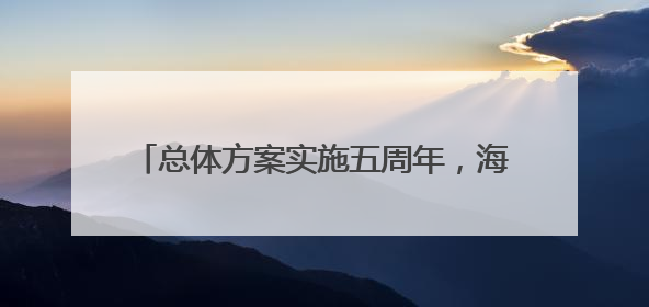 总体方案实施五周年，海南自贸港建设怎么样了？