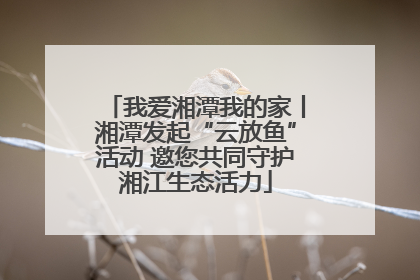 我爱湘潭我的家丨湘潭发起“云放鱼”活动 邀您共同守护湘江生态活力