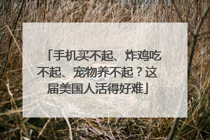 手机买不起、炸鸡吃不起、宠物养不起？这届美国人活得好难