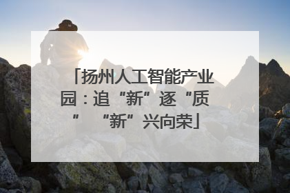 扬州人工智能产业园：追“新”逐“质” “新”兴向荣