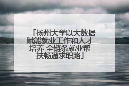 扬州大学以大数据赋能就业工作和人才培养 全链条就业帮扶畅通求职路