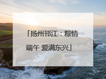 扬州邗江：粽情端午 爱满东兴