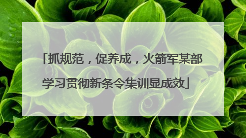 抓规范，促养成，火箭军某部学习贯彻新条令集训显成效
