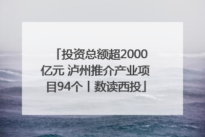 投资总额超2000亿元 泸州推介产业项目94个丨数读西投