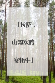 拉萨：山沟欢腾赛牦牛
