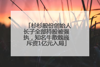 杉杉股份创始人长子全部持股被强执，知名牛散魏巍斥资1亿元入局
