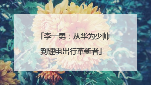 李一男：从华为少帅到锂电出行革新者