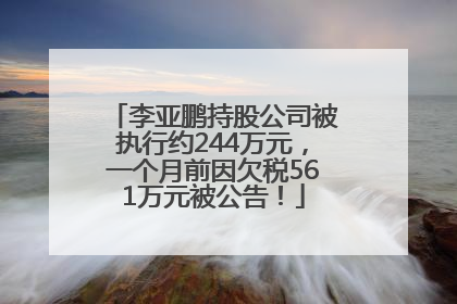 李亚鹏持股公司被执行约244万元，一个月前因欠税561万元被公告！