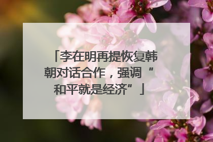 李在明再提恢复韩朝对话合作，强调“和平就是经济”