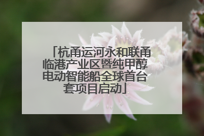 杭甬运河永和联甬临港产业区暨纯甲醇电动智能船全球首台套项目启动