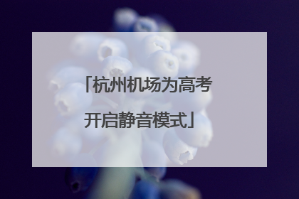 杭州机场为高考开启静音模式