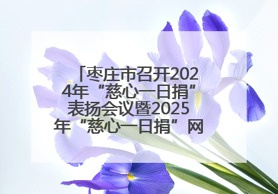枣庄市召开2024年“慈心一日捐”表扬会议暨2025年“慈心一日捐”网络募捐动员会议