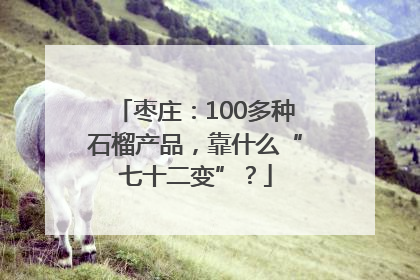 枣庄：100多种石榴产品，靠什么“七十二变”？