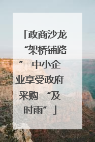 政商沙龙“架桥铺路” 中小企业享受政府采购 “及时雨”