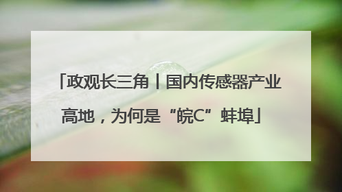 政观长三角丨国内传感器产业高地，为何是“皖C”蚌埠