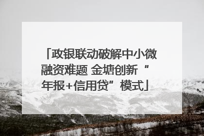 政银联动破解中小微融资难题 金塘创新“年报+信用贷”模式