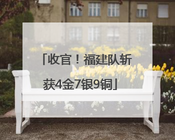 收官！福建队斩获4金7银9铜