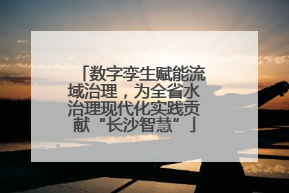 数字孪生赋能流域治理，为全省水治理现代化实践贡献“长沙智慧”