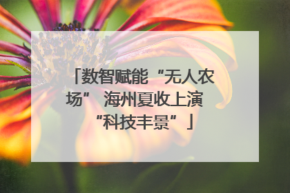 数智赋能“无人农场” 海州夏收上演“科技丰景”