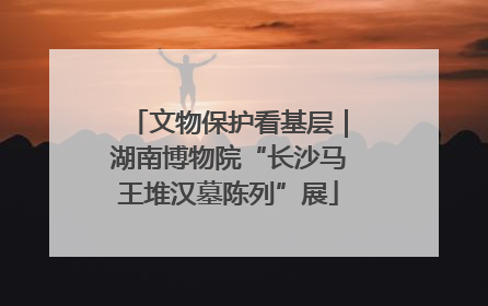 文物保护看基层｜湖南博物院“长沙马王堆汉墓陈列”展