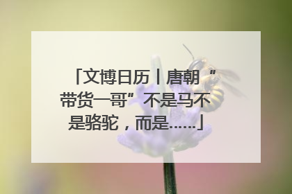 文博日历丨唐朝“带货一哥”不是马不是骆驼，而是……