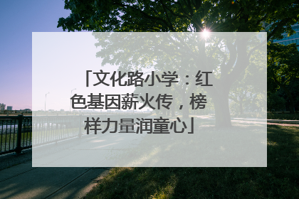 文化路小学：红色基因薪火传，榜样力量润童心