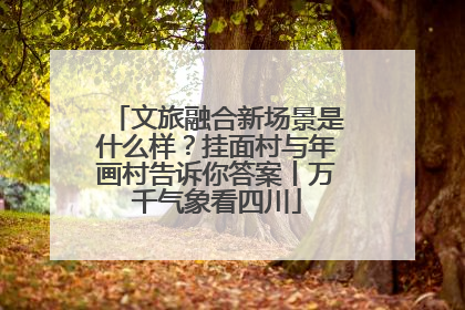 文旅融合新场景是什么样？挂面村与年画村告诉你答案丨万千气象看四川