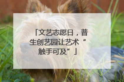 文艺志愿日，普生创艺园让艺术“触手可及”