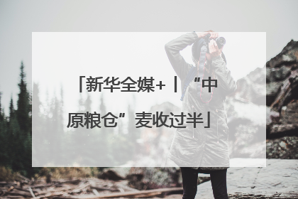新华全媒+丨“中原粮仓”麦收过半