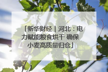 新华财经｜河北：电力赋能粮食烘干 确保小麦高质量归仓