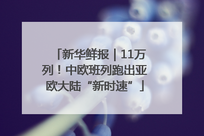 新华鲜报｜11万列！中欧班列跑出亚欧大陆“新时速”