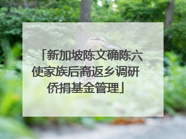 新加坡陈文确陈六使家族后裔返乡调研侨捐基金管理