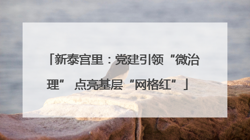 新泰宫里：党建引领“微治理” 点亮基层“网格红”